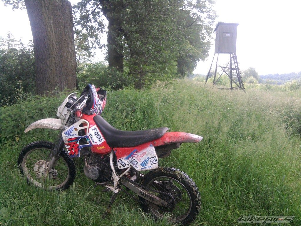 Photo 2341936