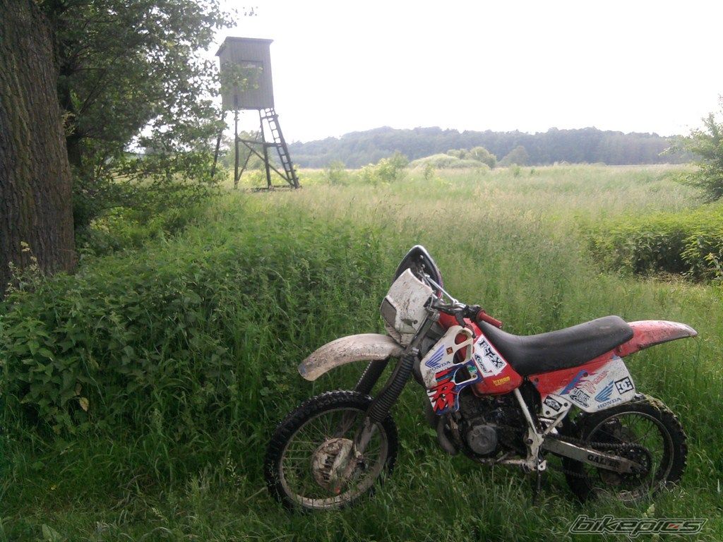 Photo 2341937