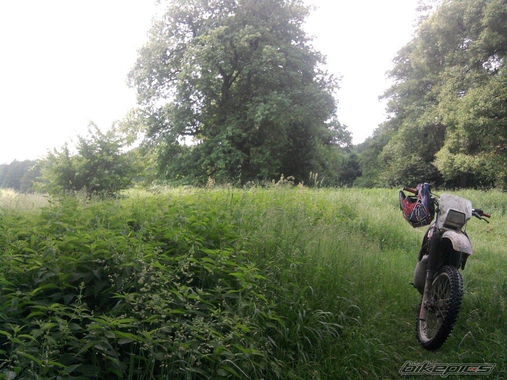Photo 2341938