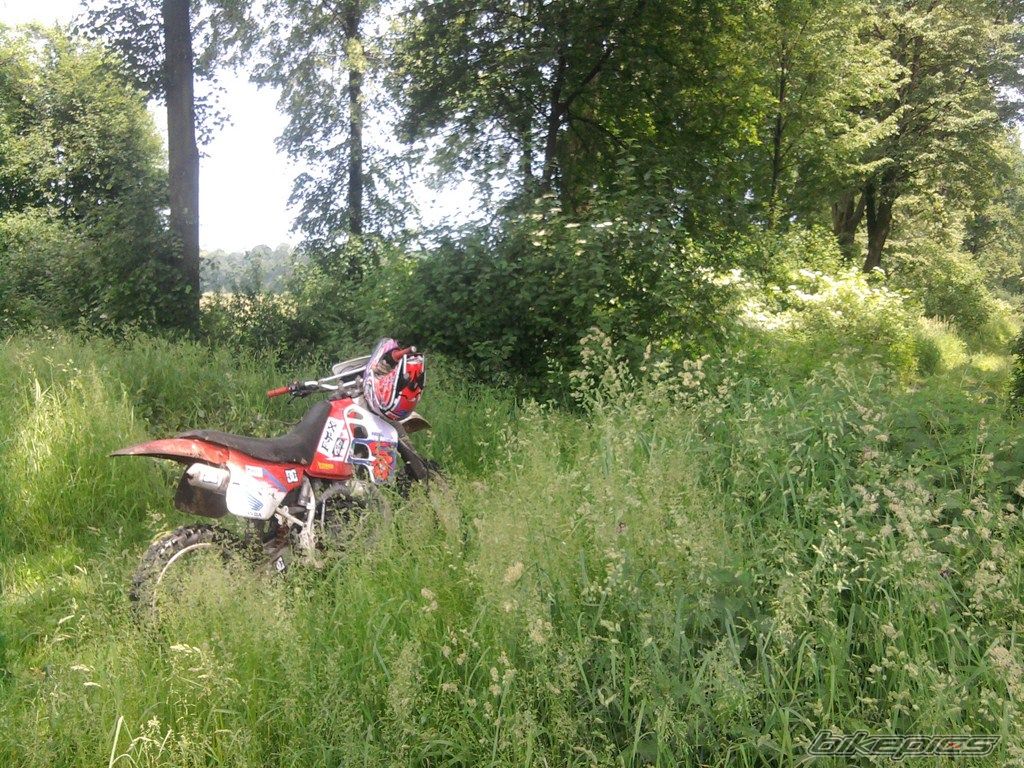 Photo 2341939