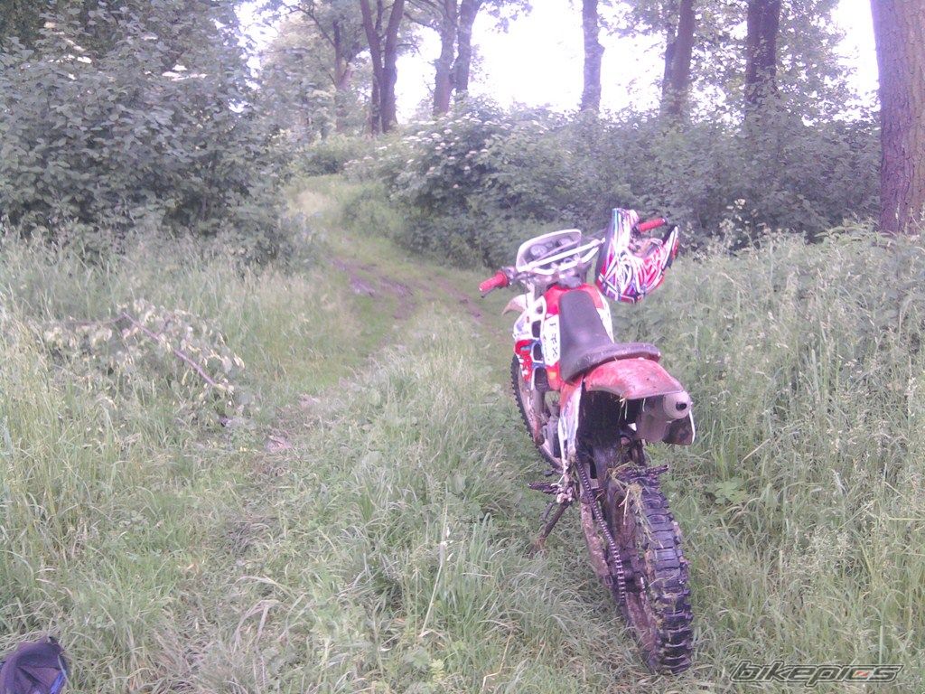 Photo 2341940