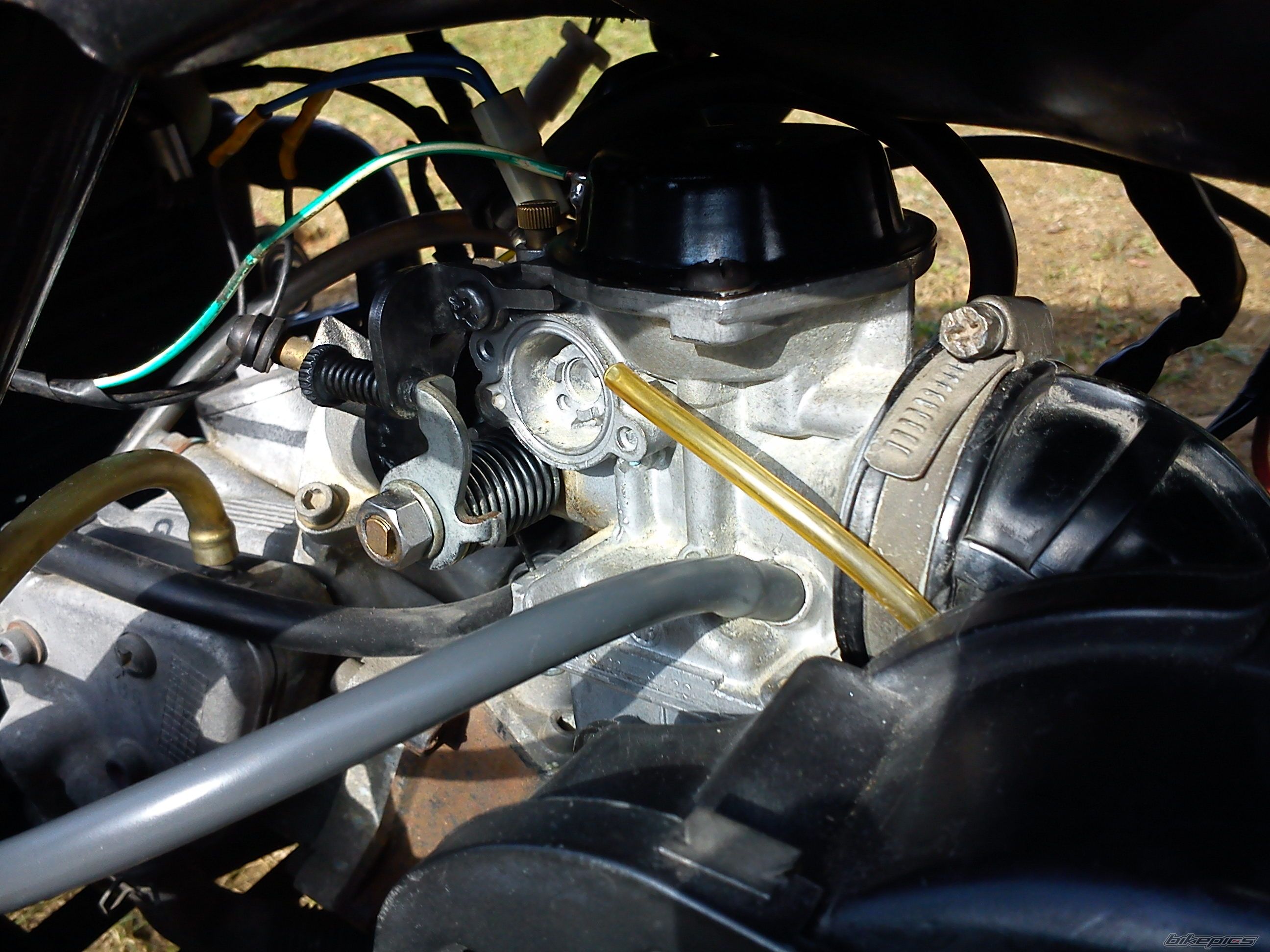 Photo 2342020