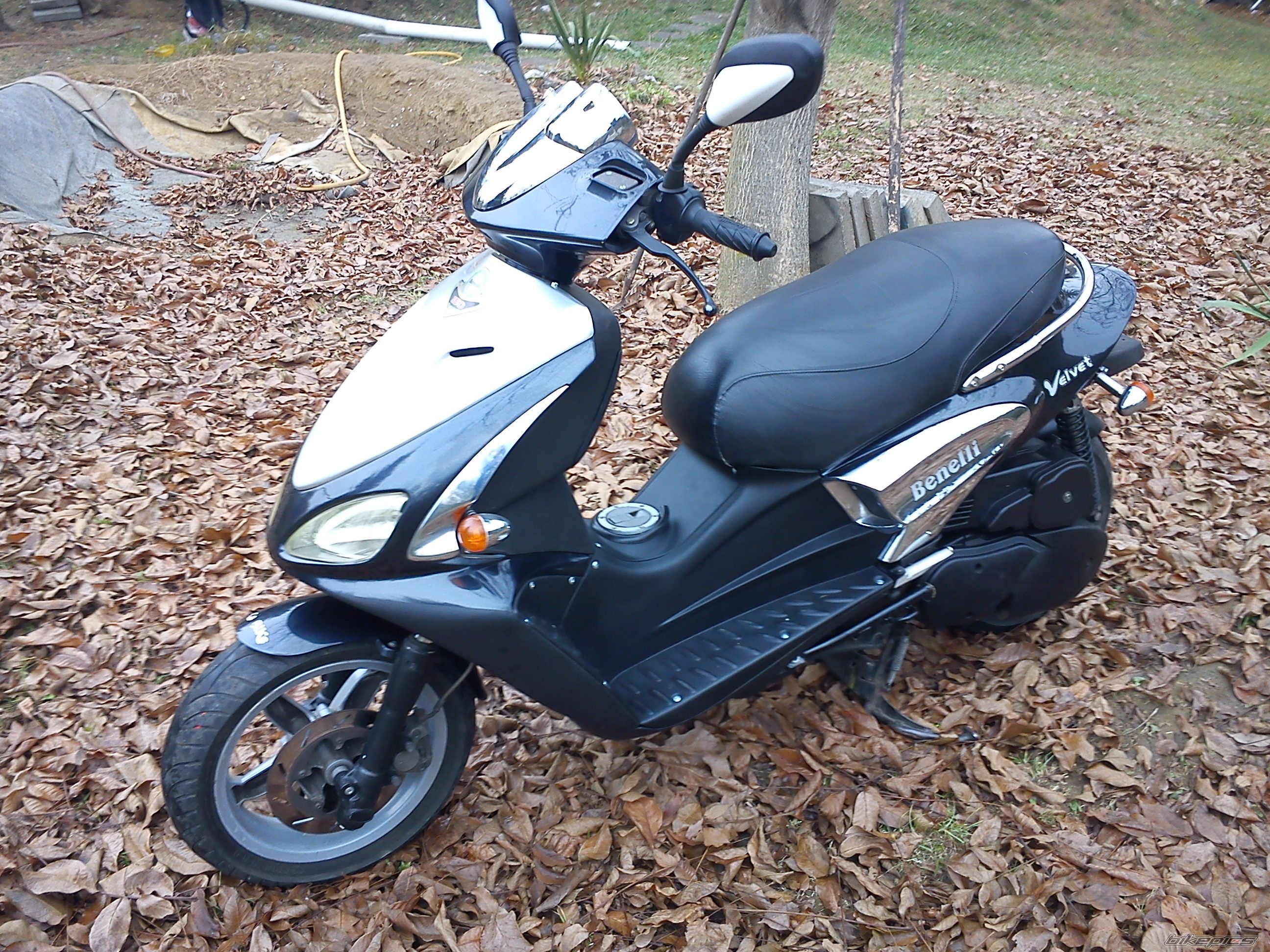 Photo 2342027