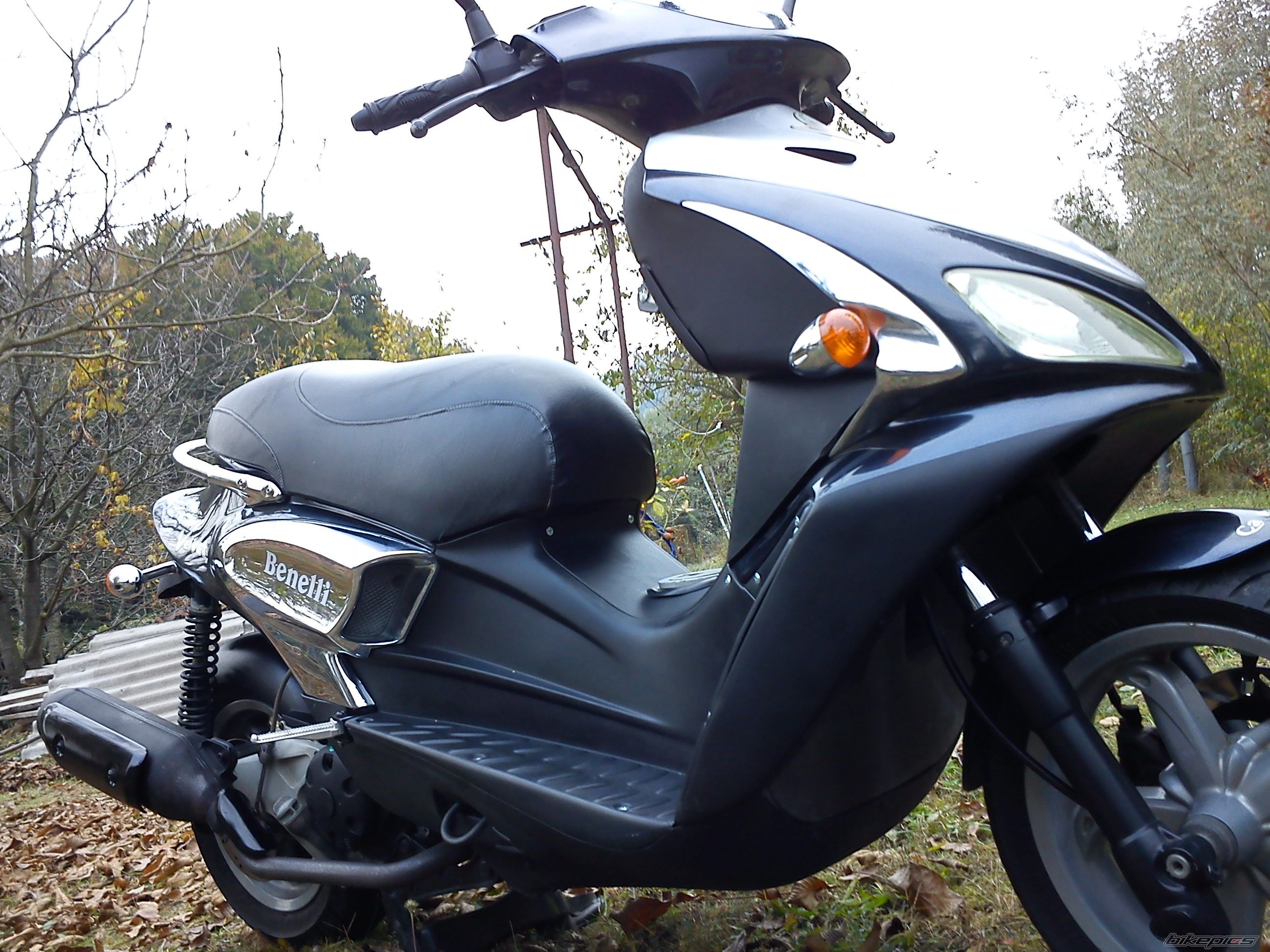 Photo 2342043