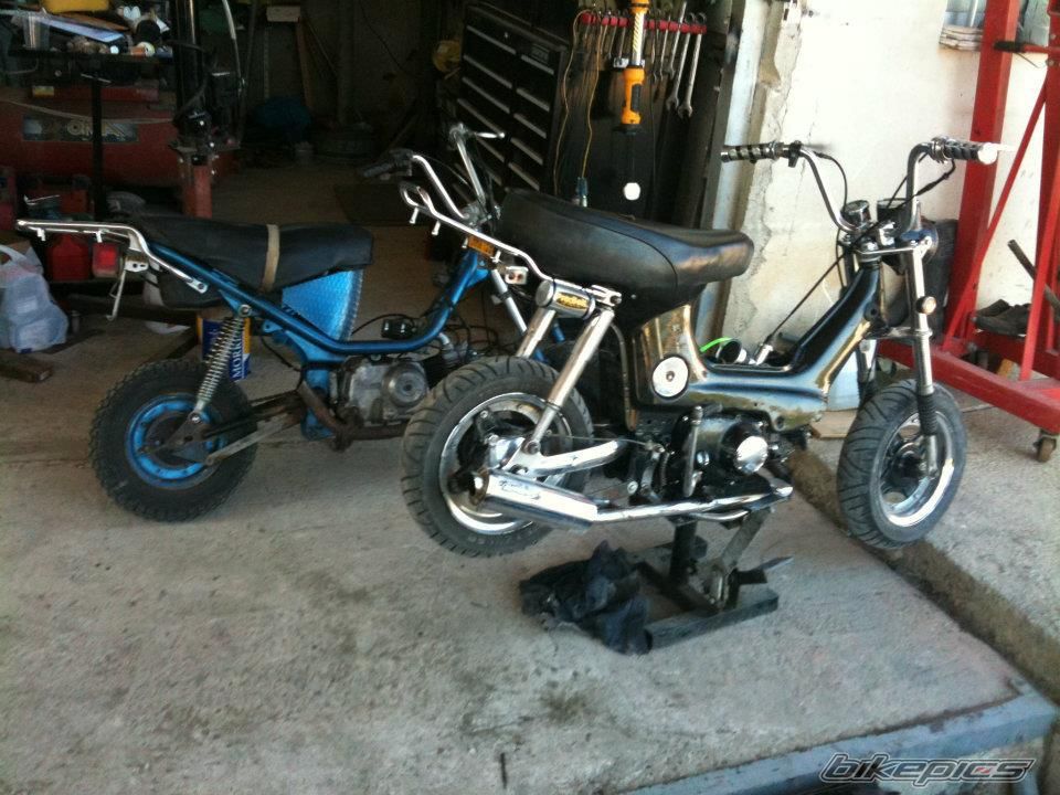 Photo 2342057