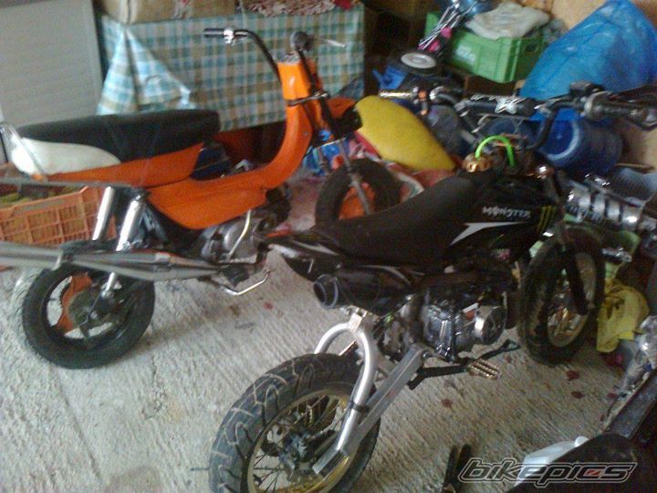 Photo 2342058