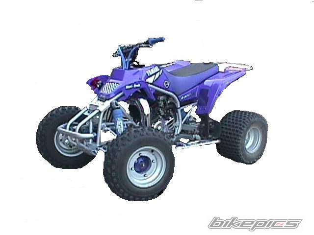 Photo 23421