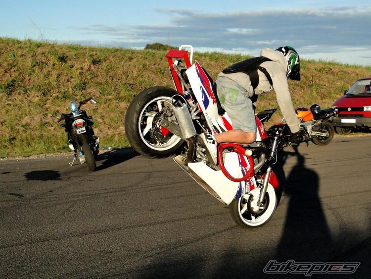 Photo 2342224
