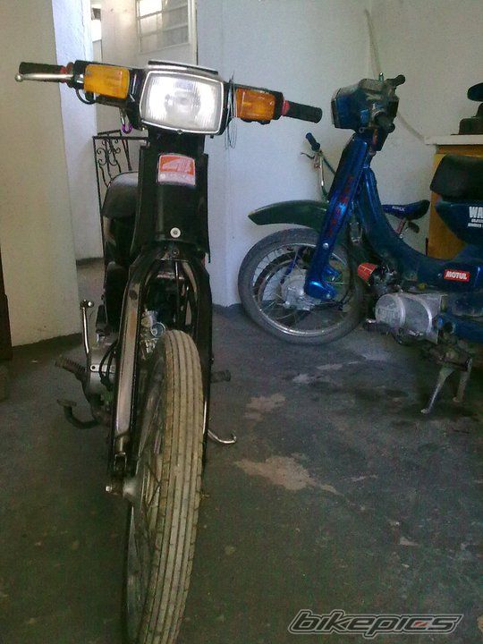 Photo 2342256