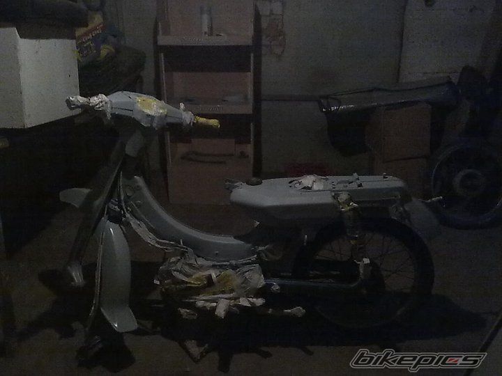 Photo 2342270