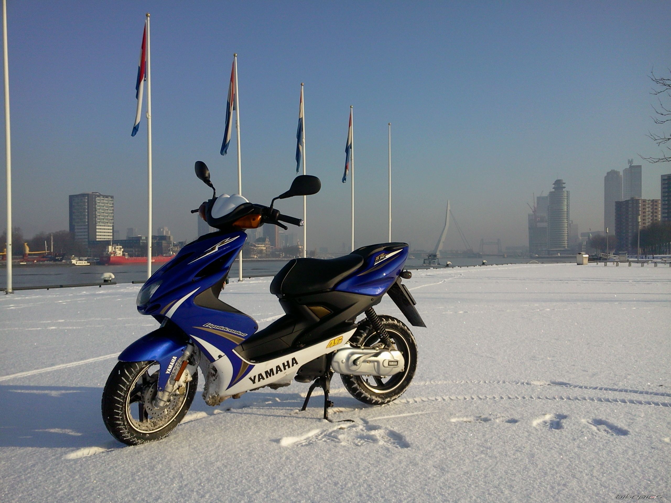 Photo 2342301