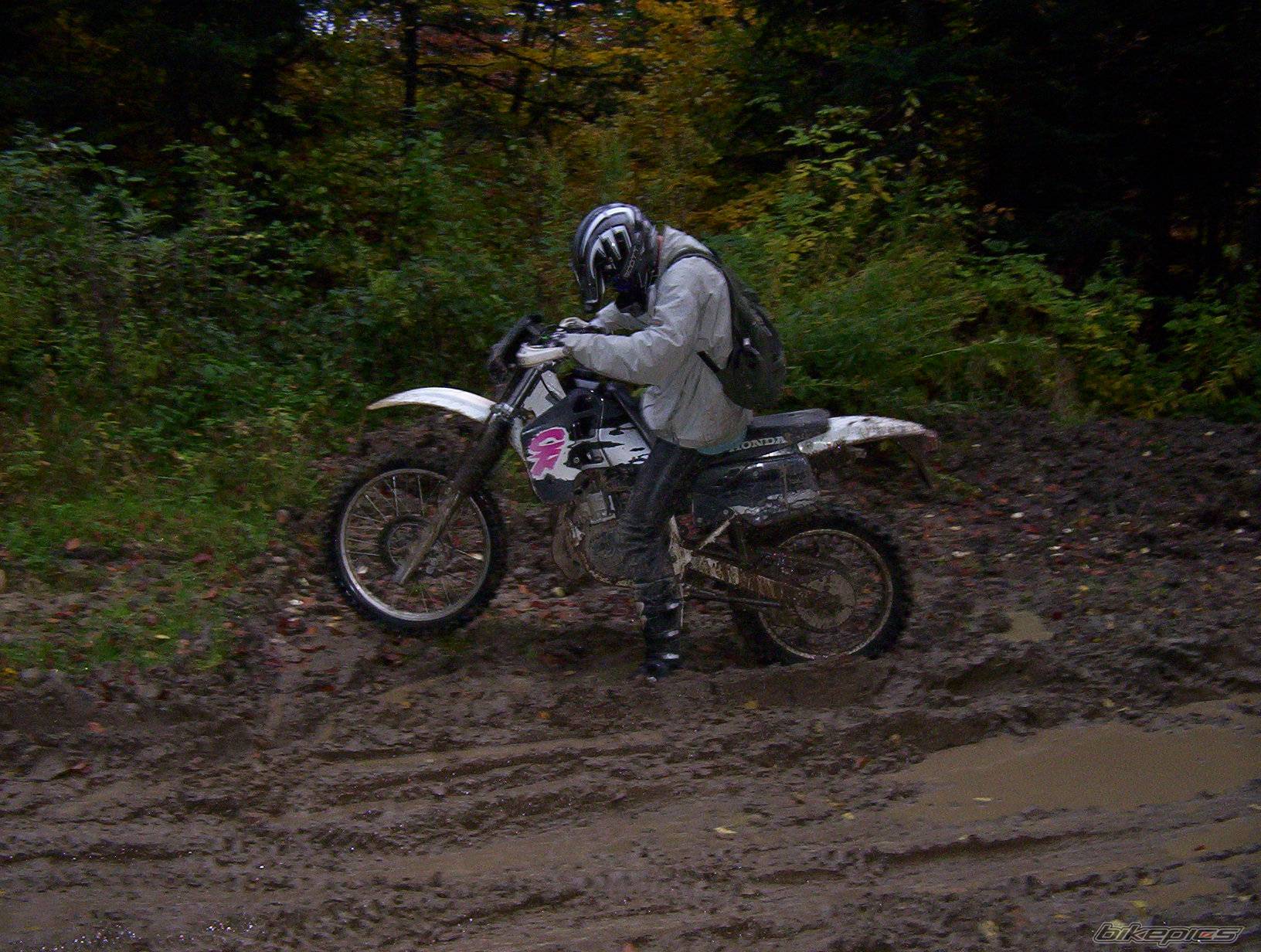 Photo 234234