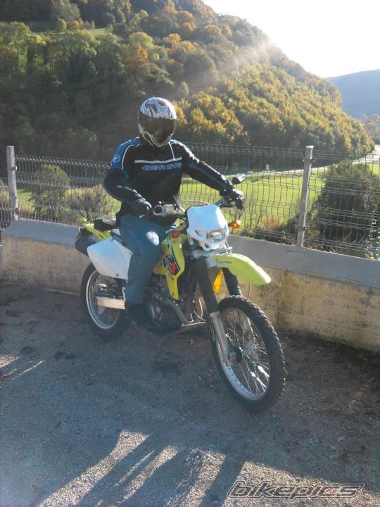 Photo 2342350