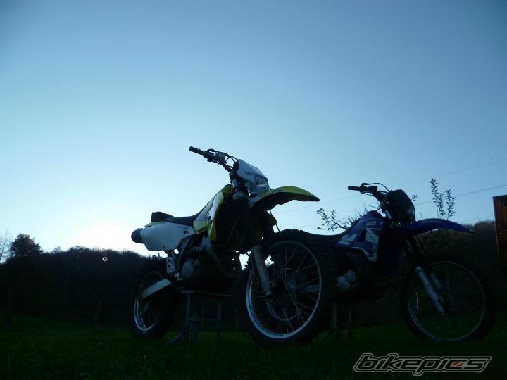 Photo 2342351