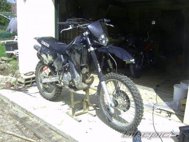 Photo 2342376