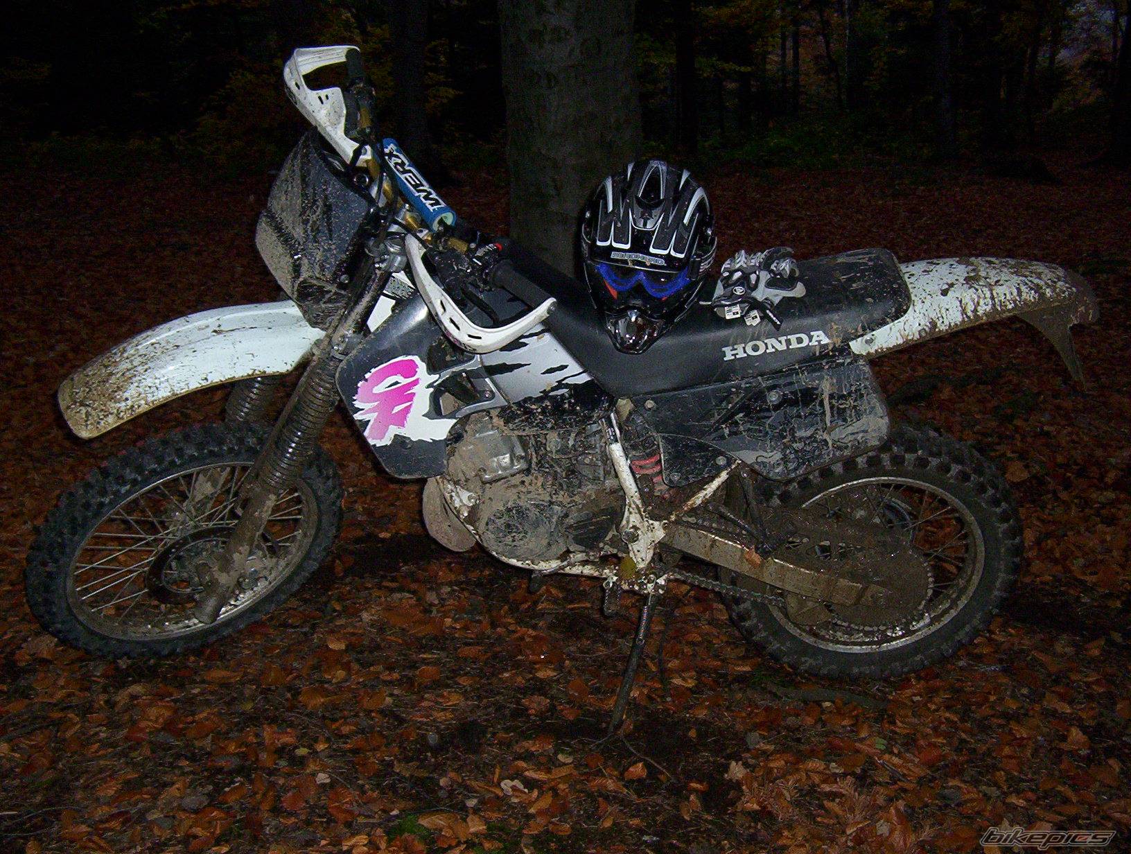 Photo 234238