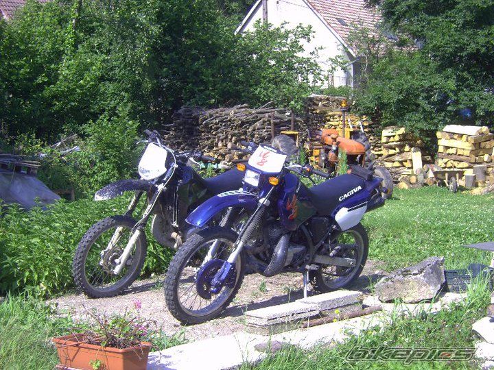 Photo 2342387
