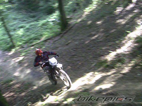 Photo 2342389