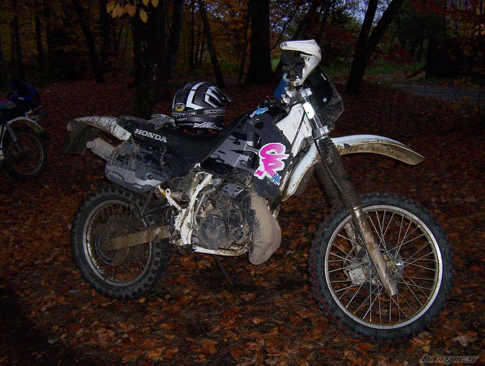 Photo 234239