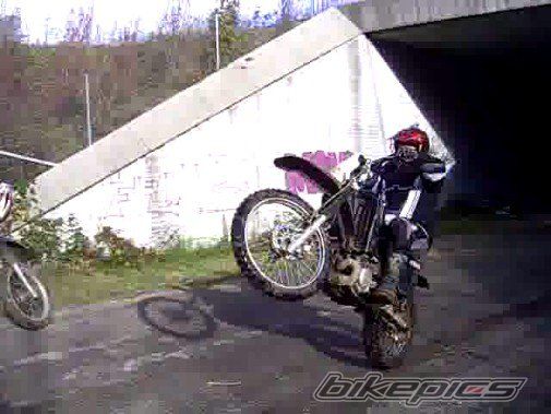 Photo 2342391