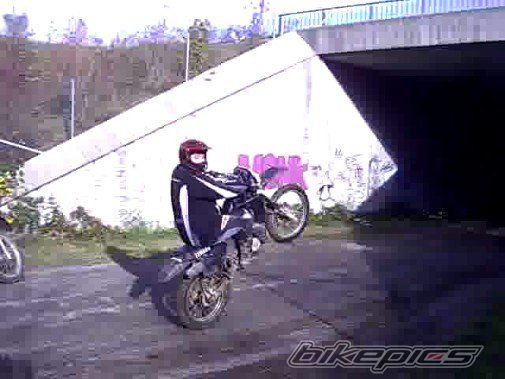 Photo 2342392