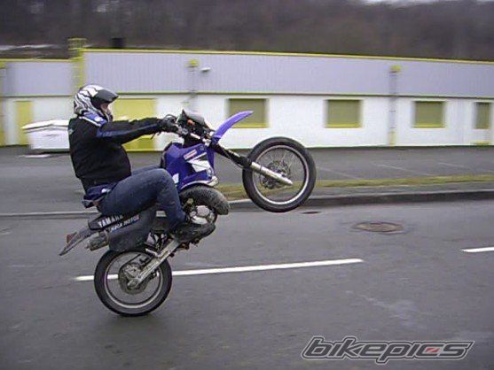 Photo 2342404