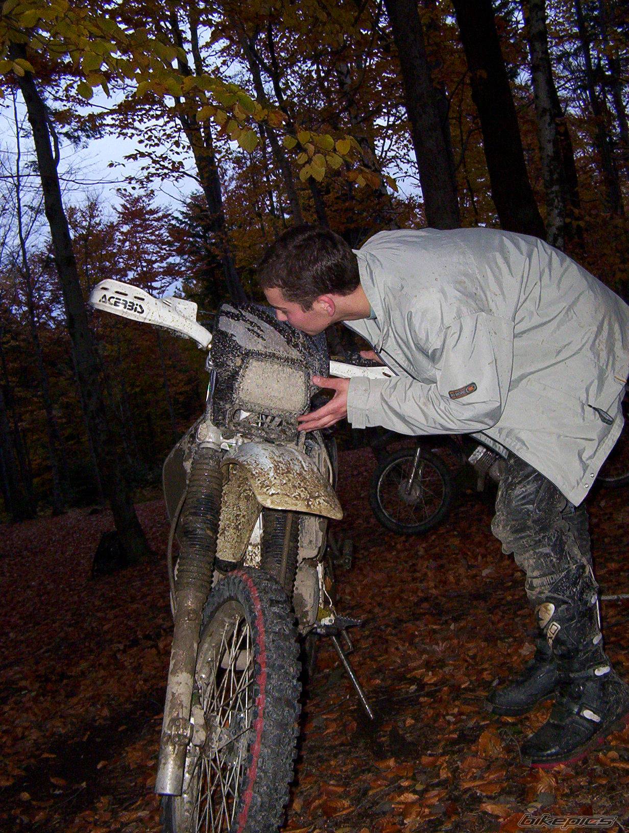 Photo 234242