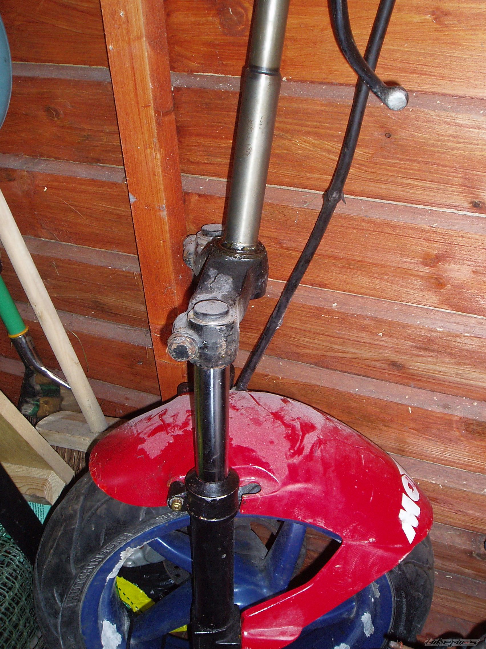 Photo 2342462