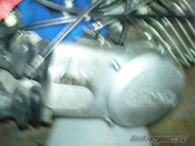Photo 2342516