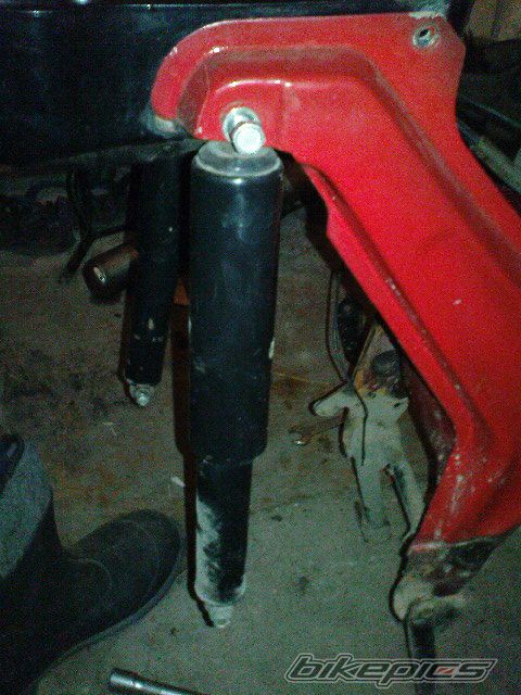 Photo 2342534