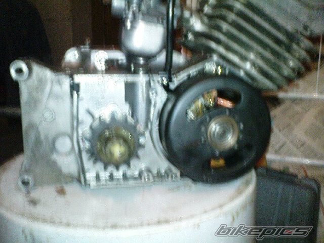 Photo 2342537