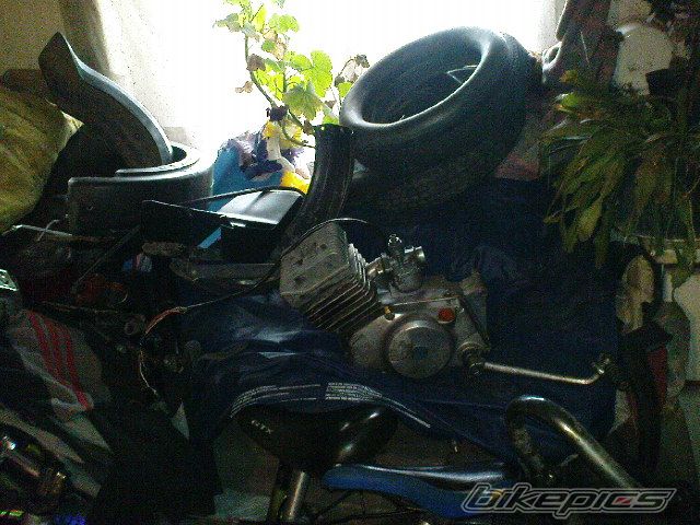 Photo 2342542