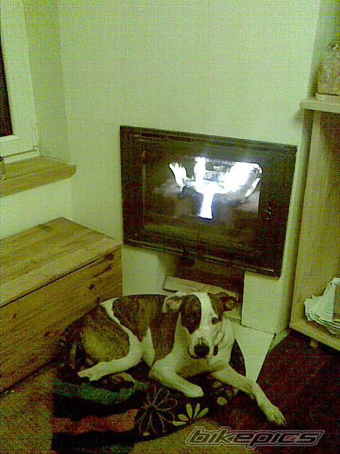 Photo 2342546