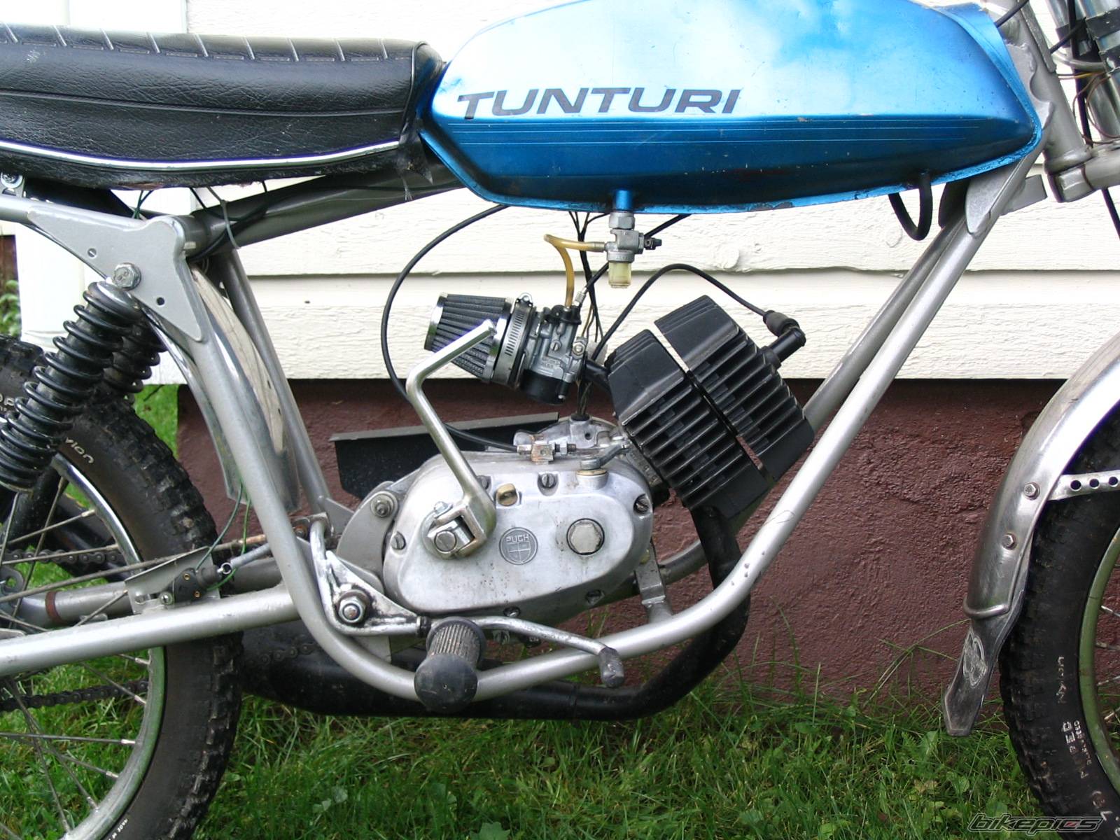 Photo 234259