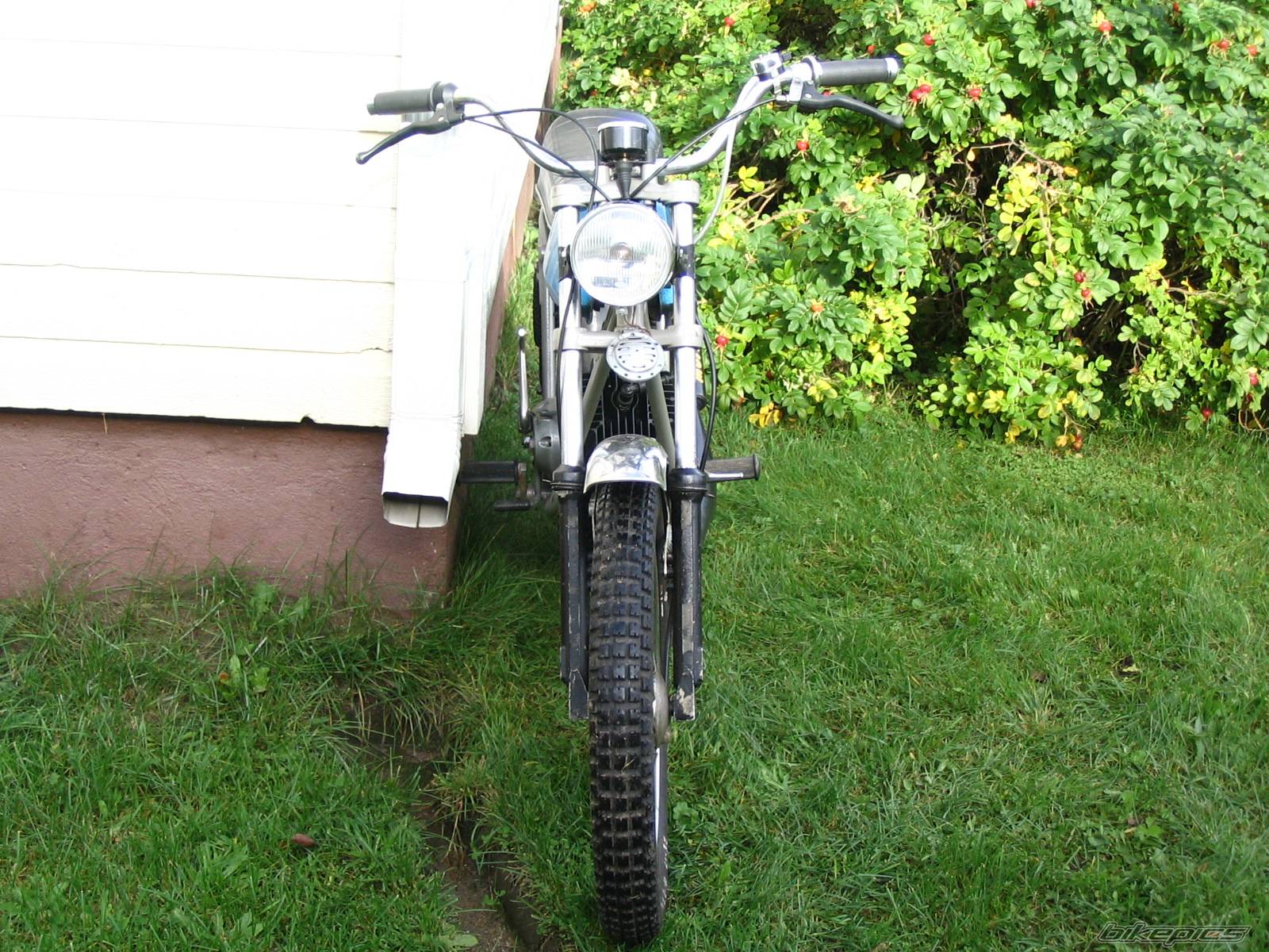 Photo 234262