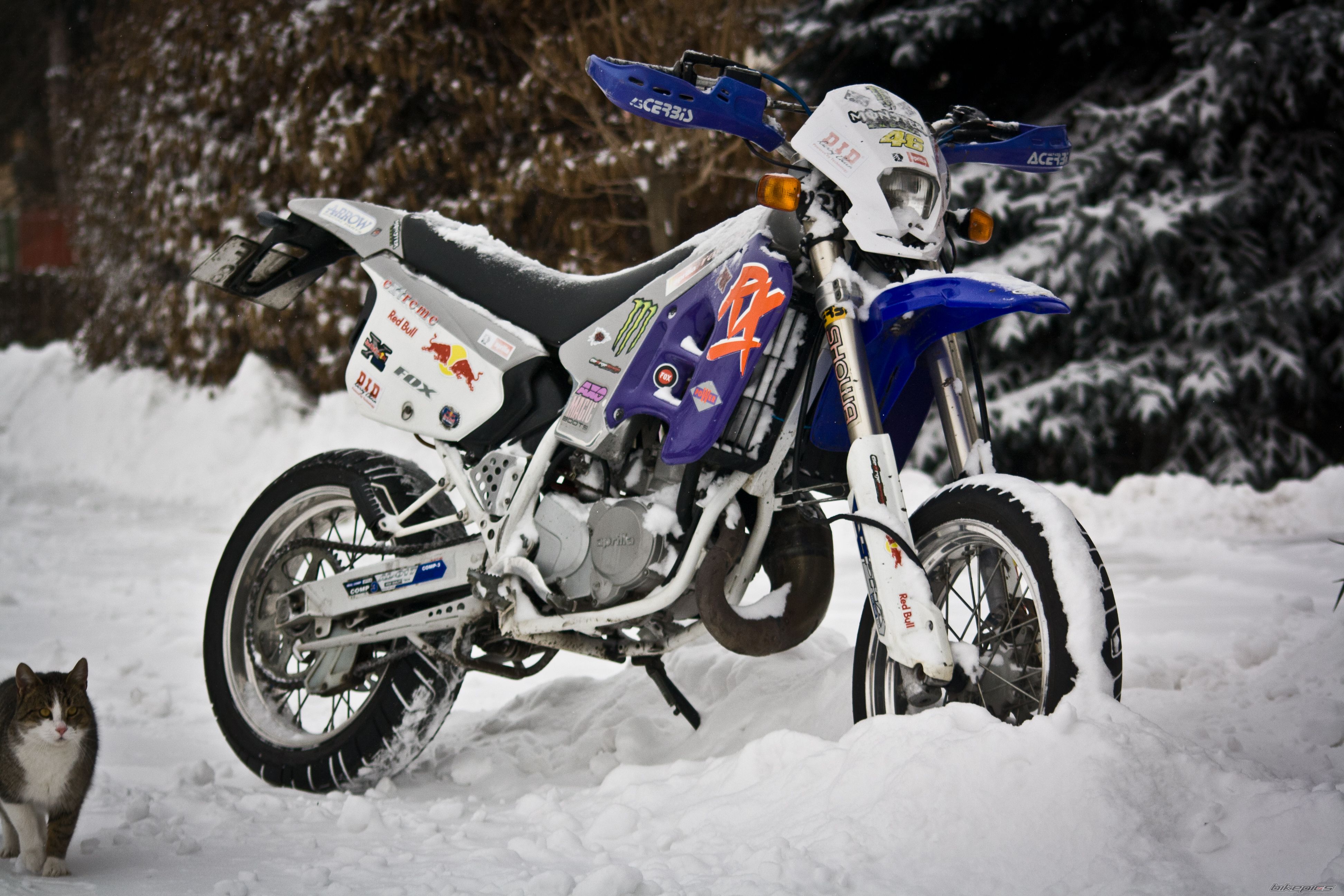 Photo 2342624