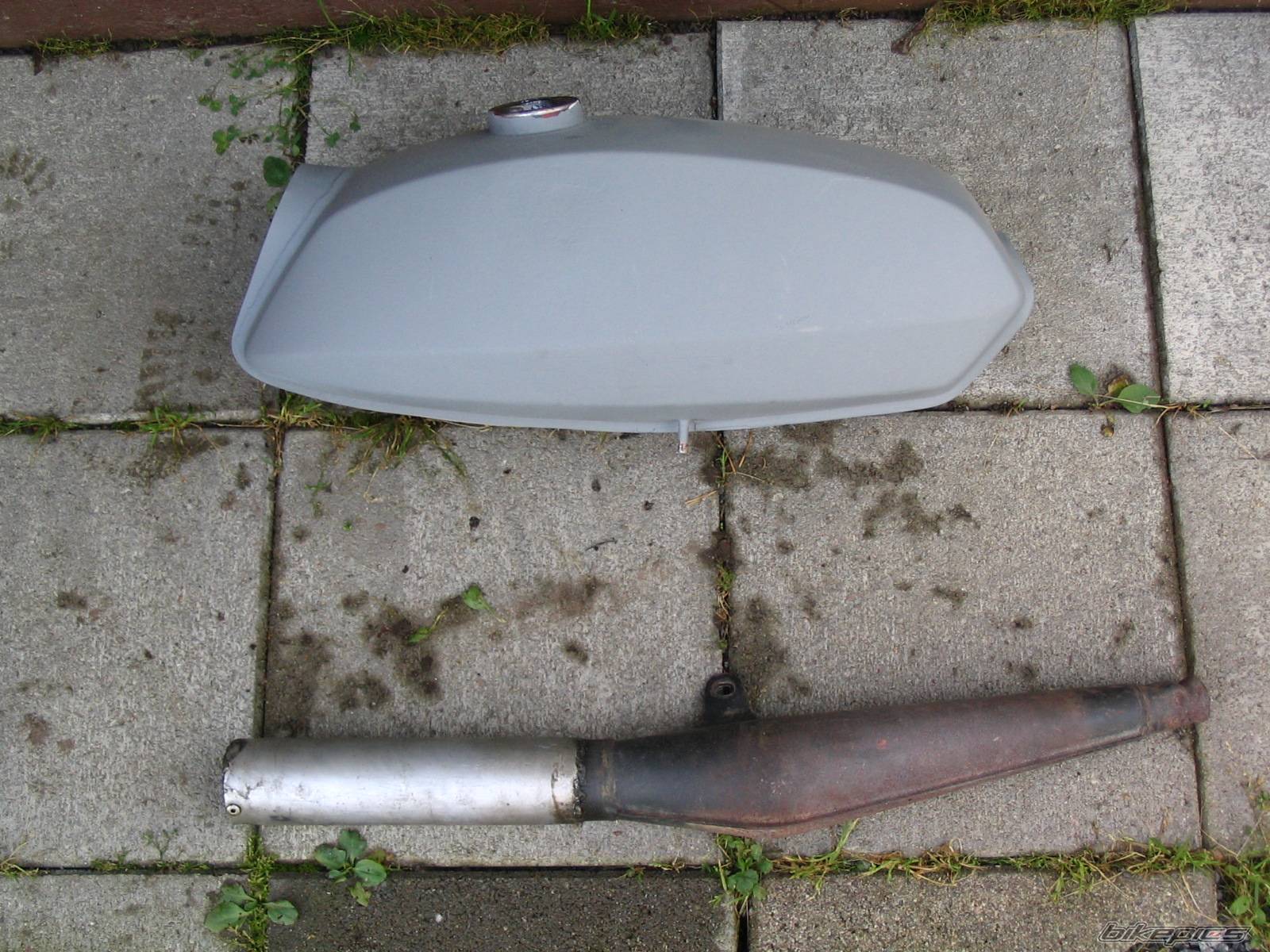 Photo 234271