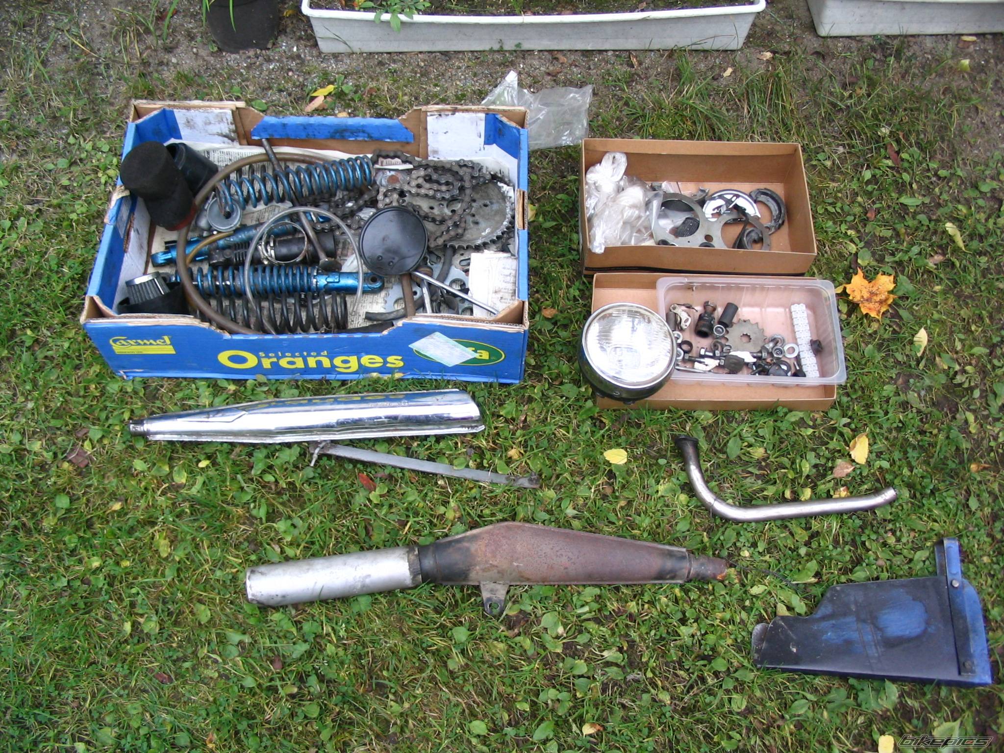 Photo 234272