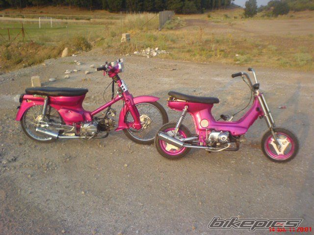 Photo 2342934