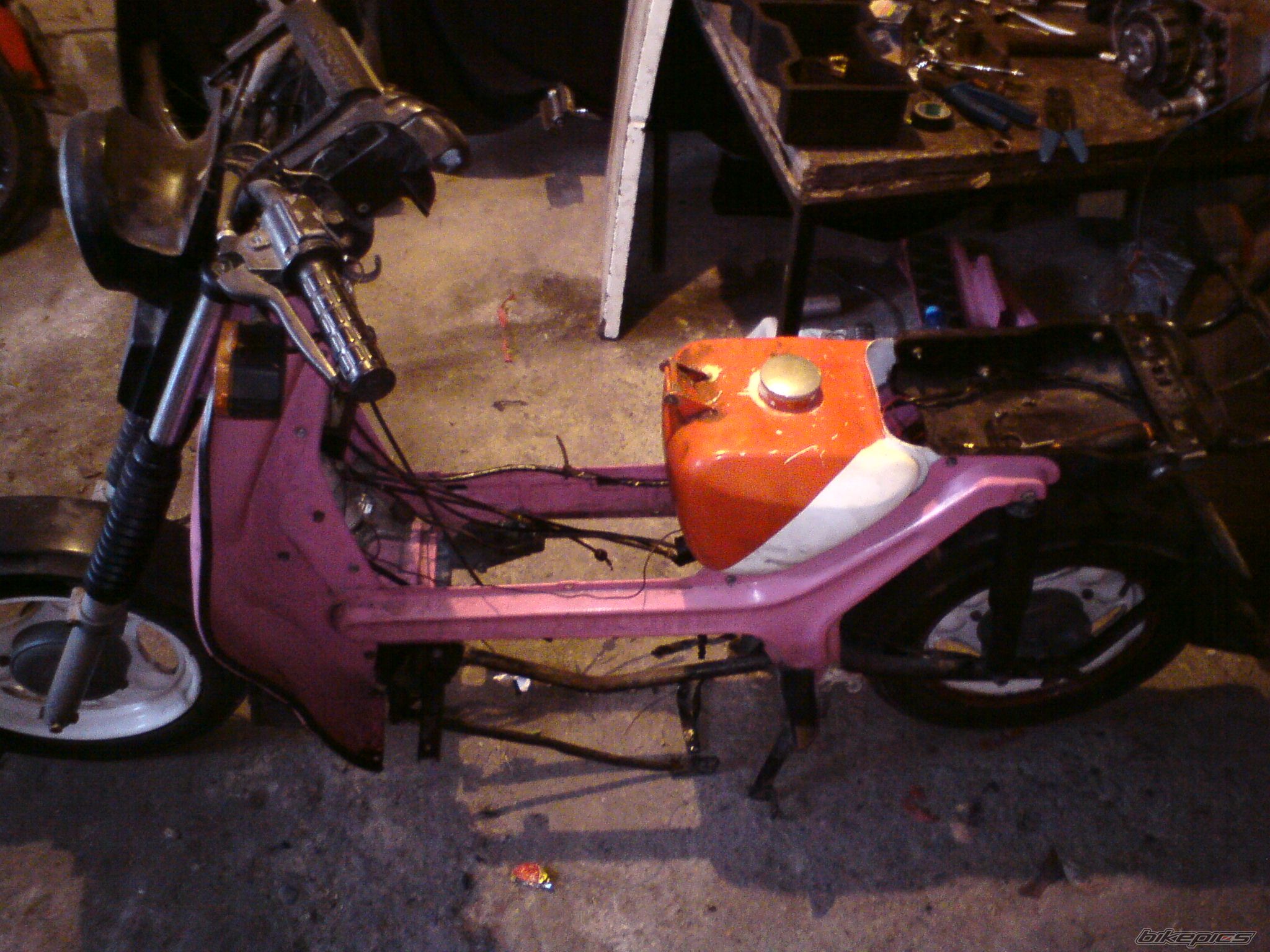 Photo 2342987