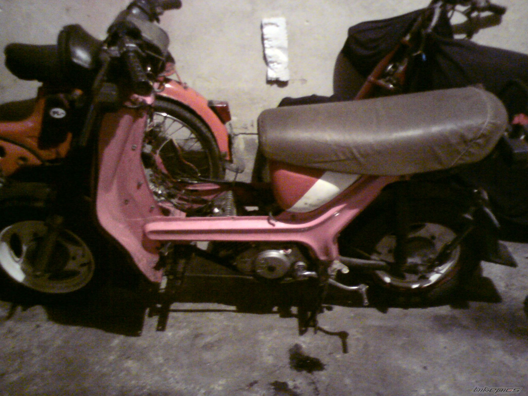 Photo 2342990