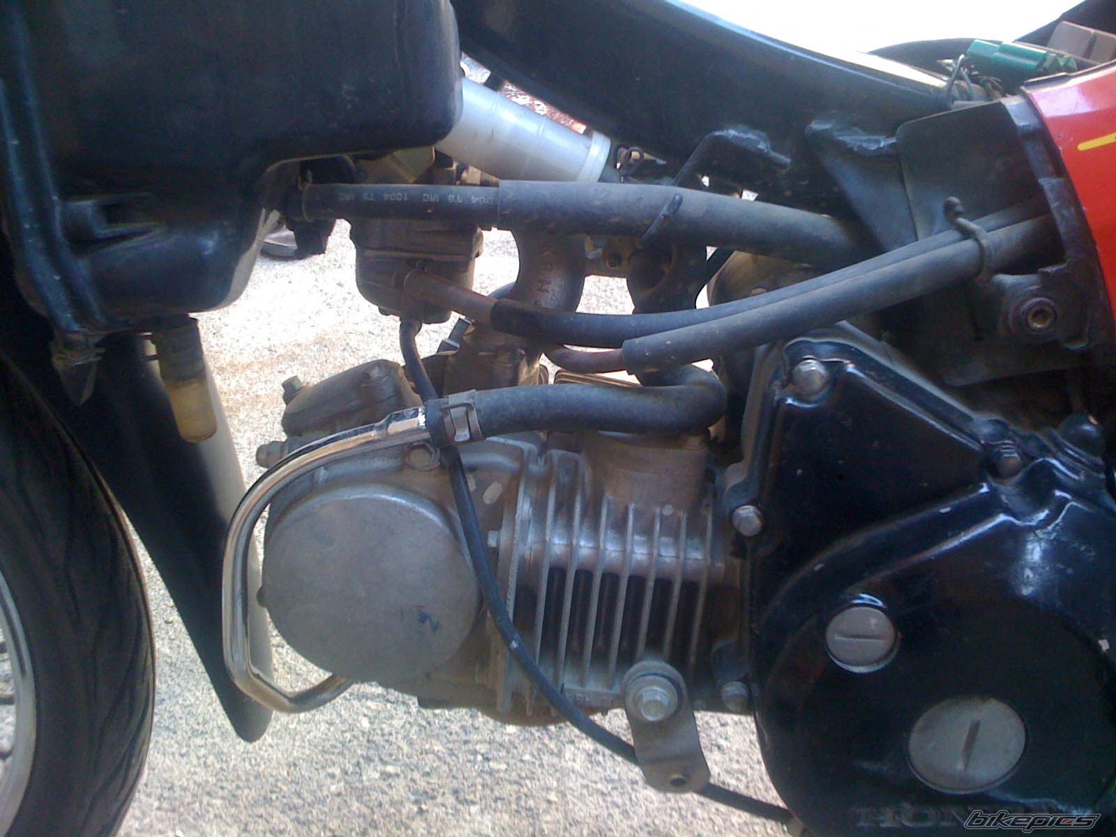 Photo 2343031