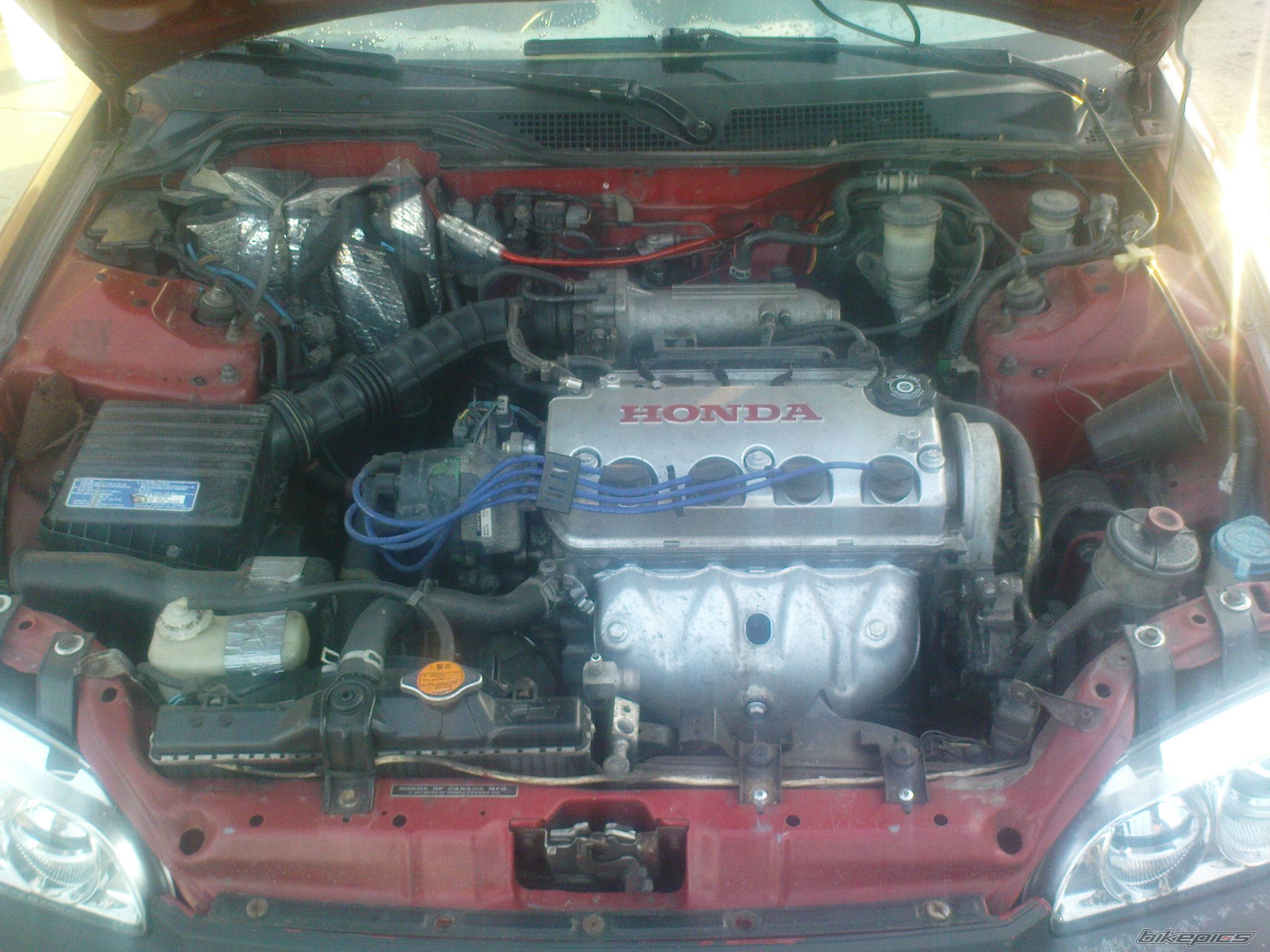 Photo 2343064