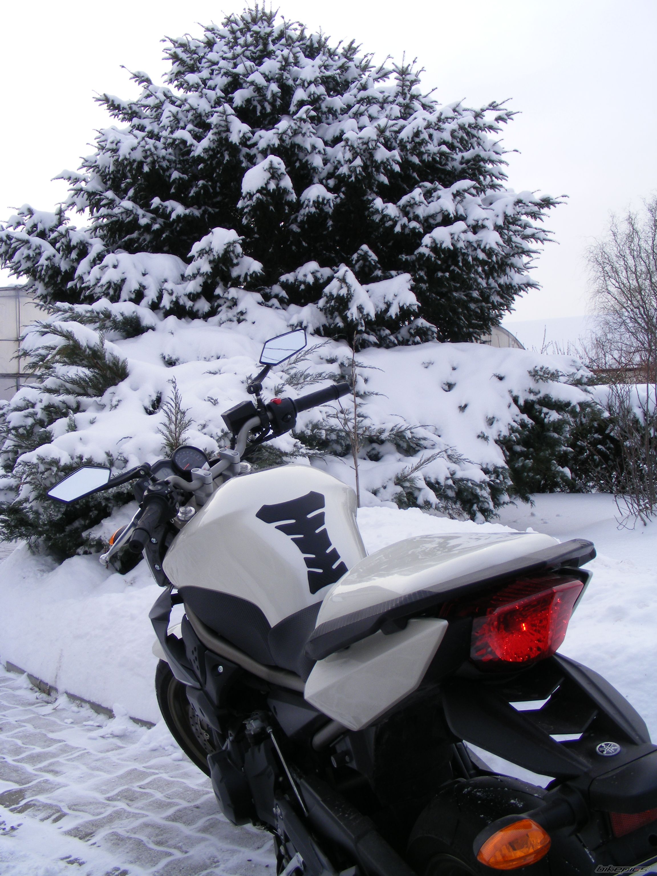 Bike Photo 2343149