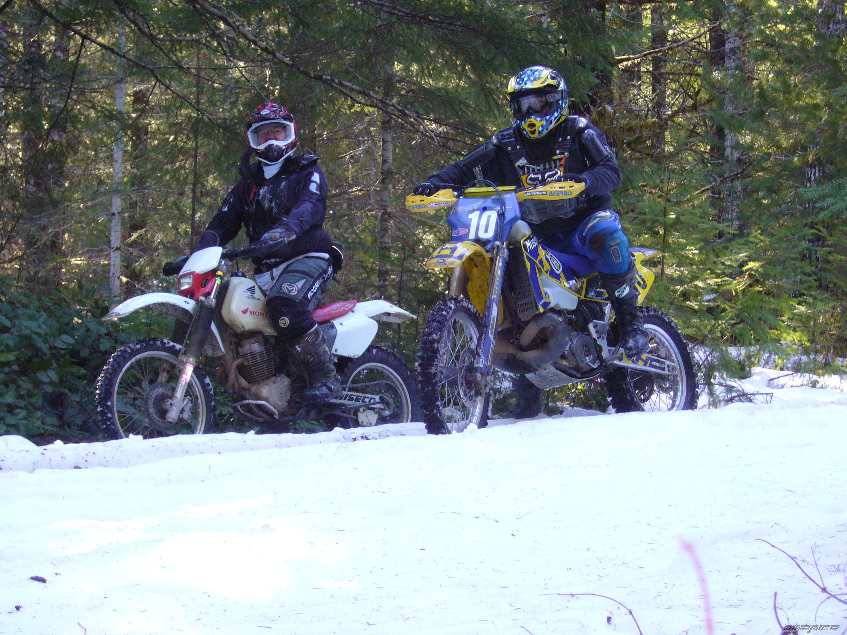 Photo 2343279