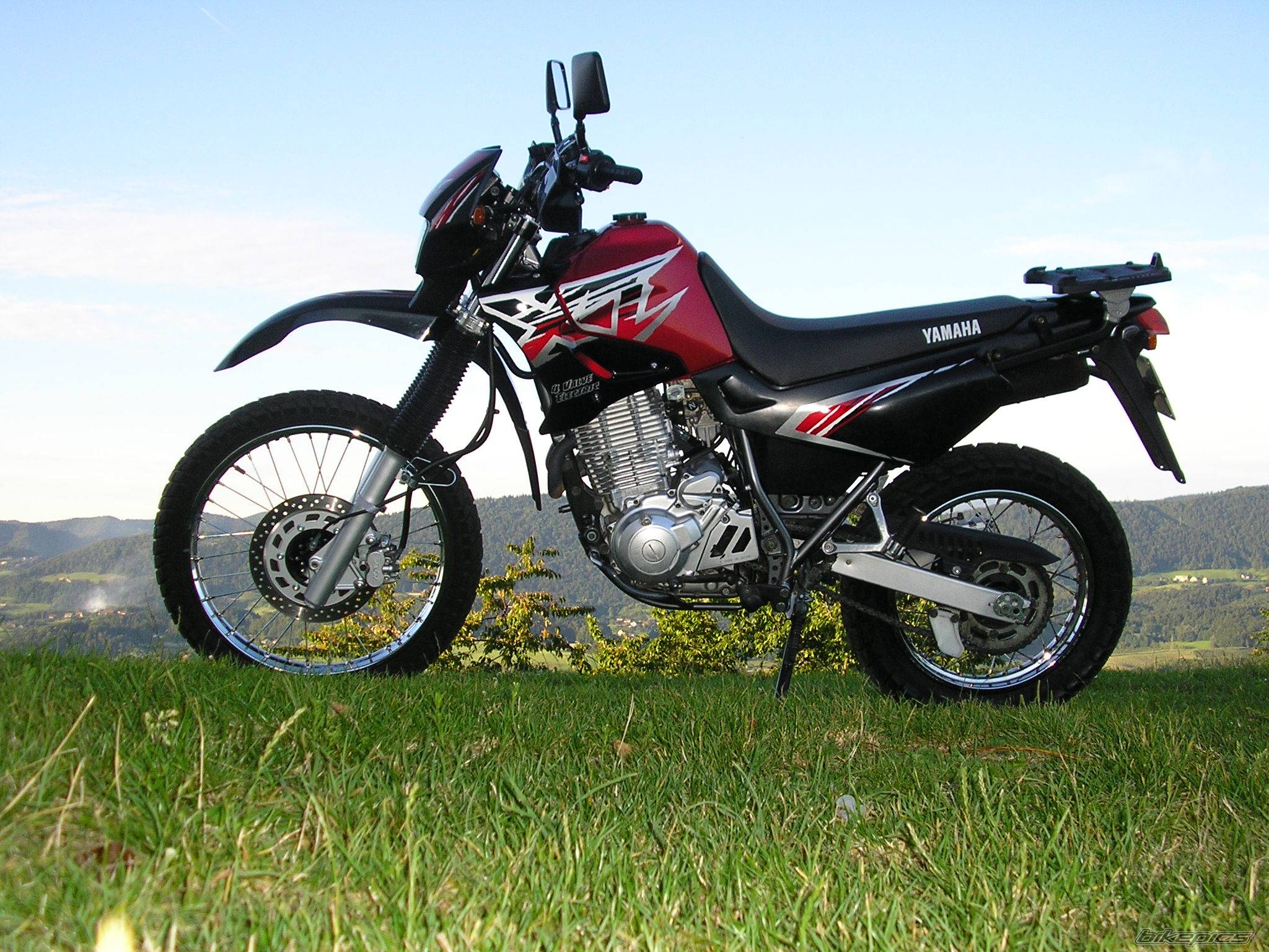 Photo 234328