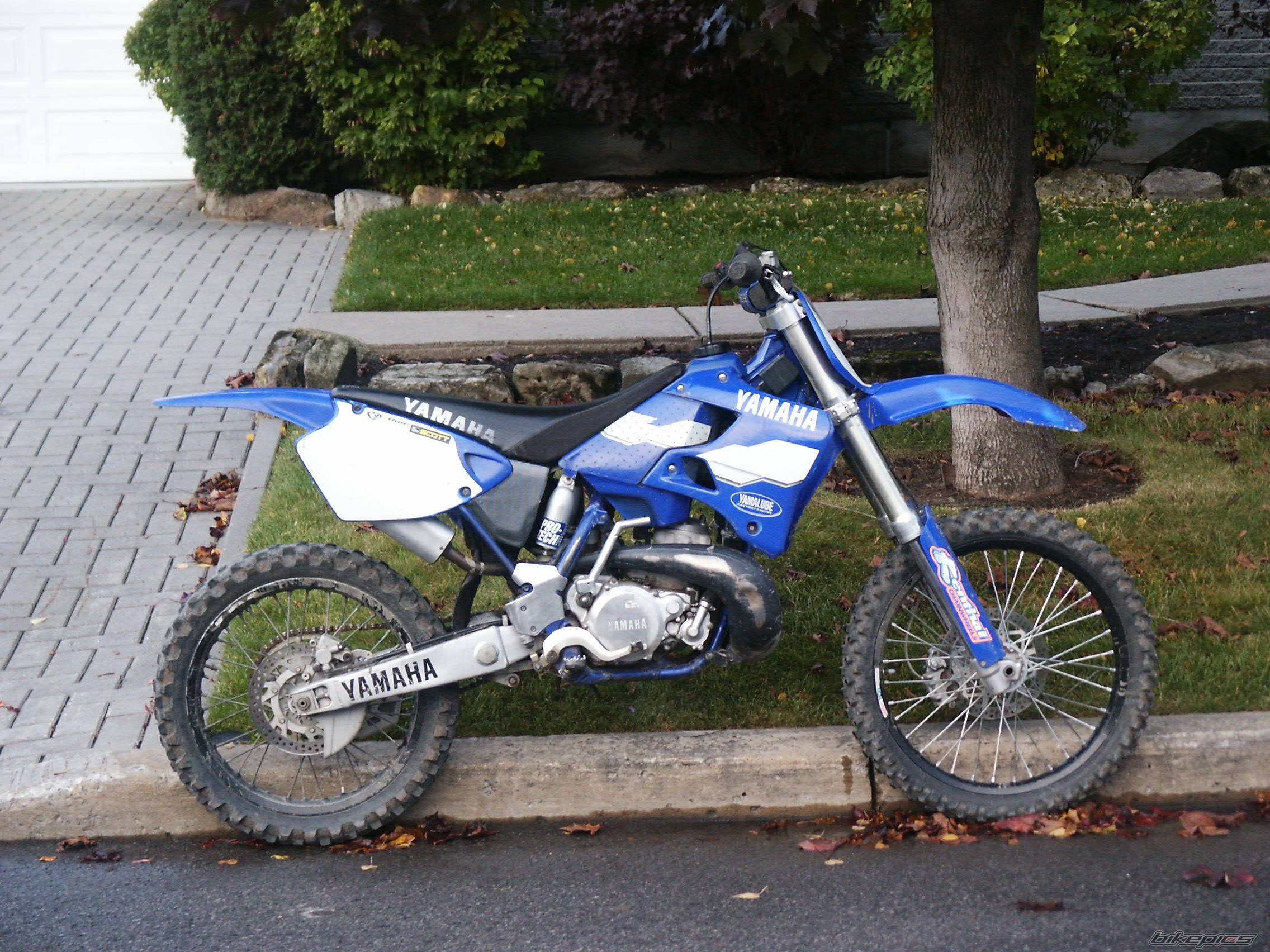 Photo 234337