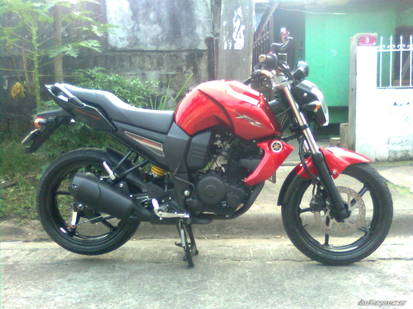 Photo 2343391