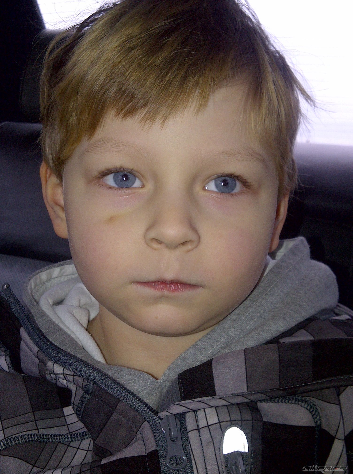 Photo 2343429
