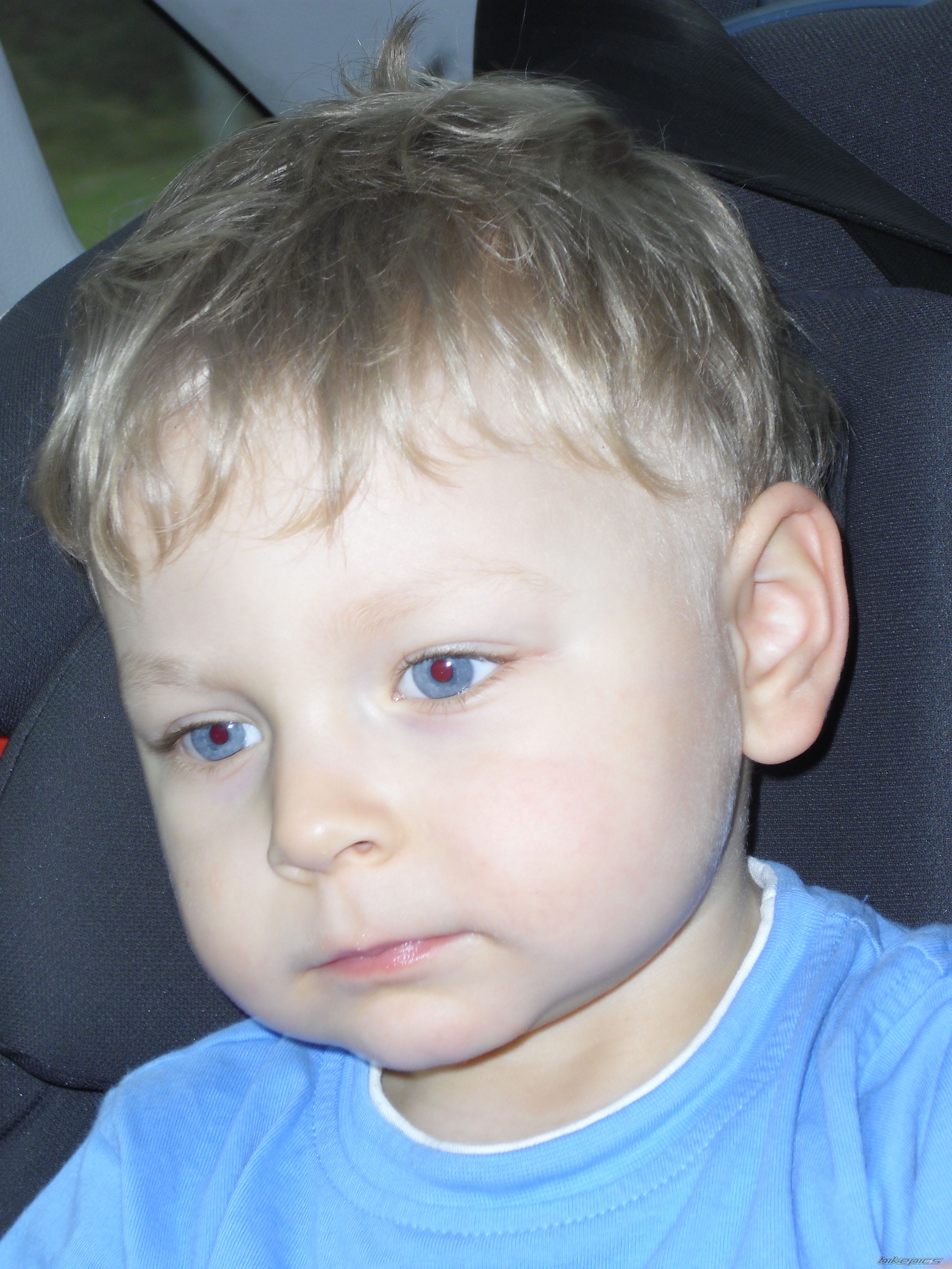 Photo 2343435